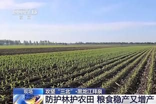 意裁判负责人罗基：我们要像英超那样赛后12小时不谈论裁判